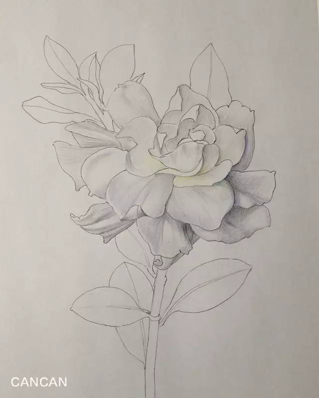 三亿体育手机版