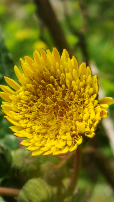 工信部赴陕西调研首季有色金属运行情况_三亿体育手机版(图2) 三亿体育官网