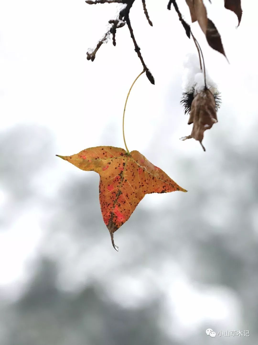 三亿体育手机版