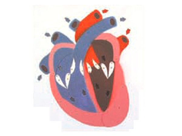 三亿体育手机版