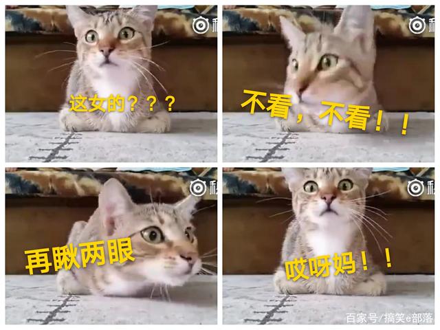 海南矿业拟约3亿元认购中广核矿业6.6亿股股票_三亿体育(图1) 三亿体育官网