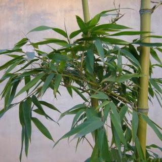 今年第二批环保督察全面启动【三亿体育】(图2) 三亿体育