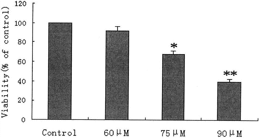 三亿体育手机版