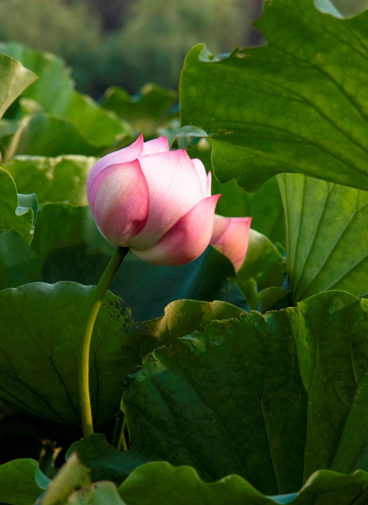 三亿体育手机版