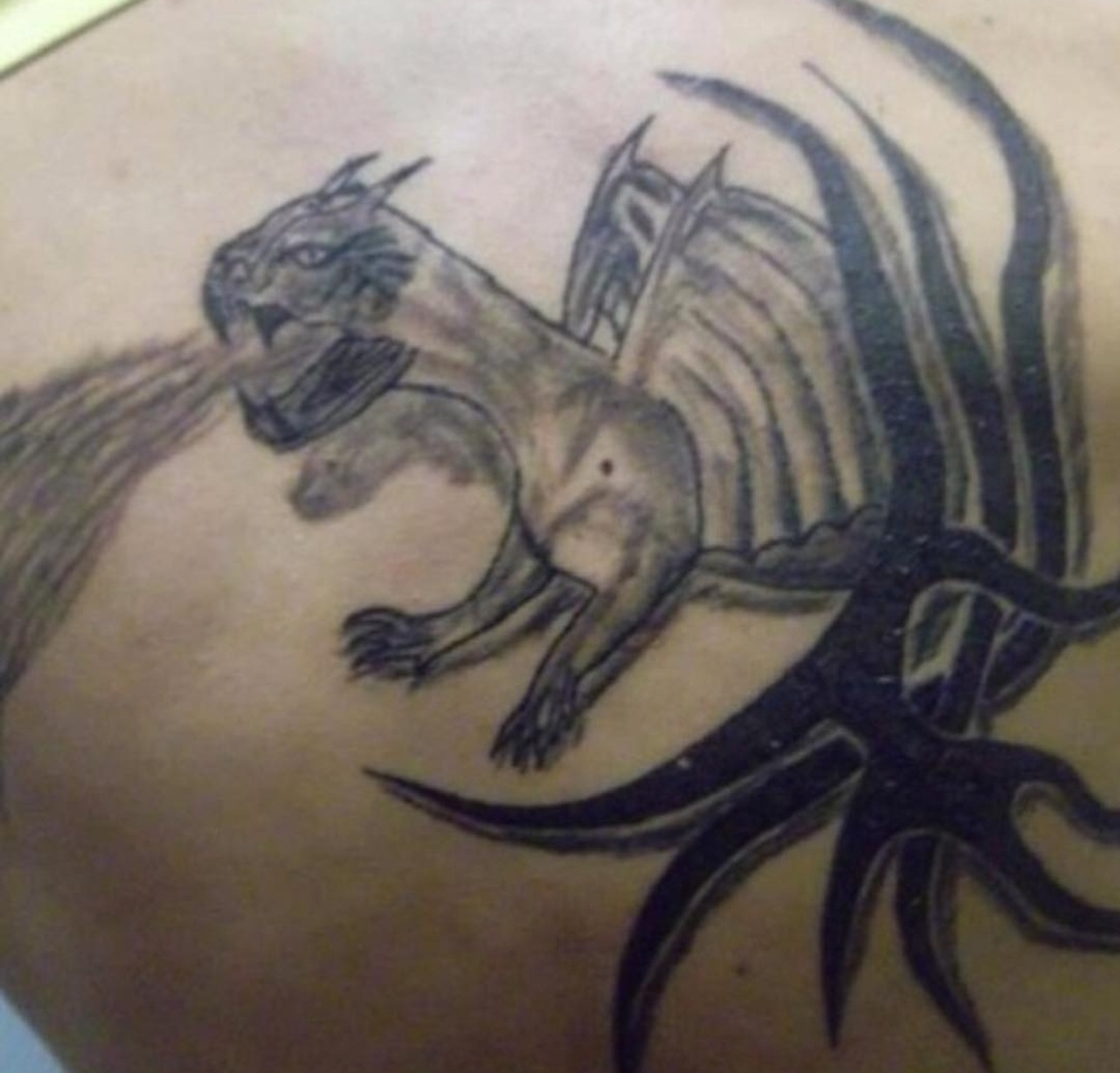 三亿体育手机版