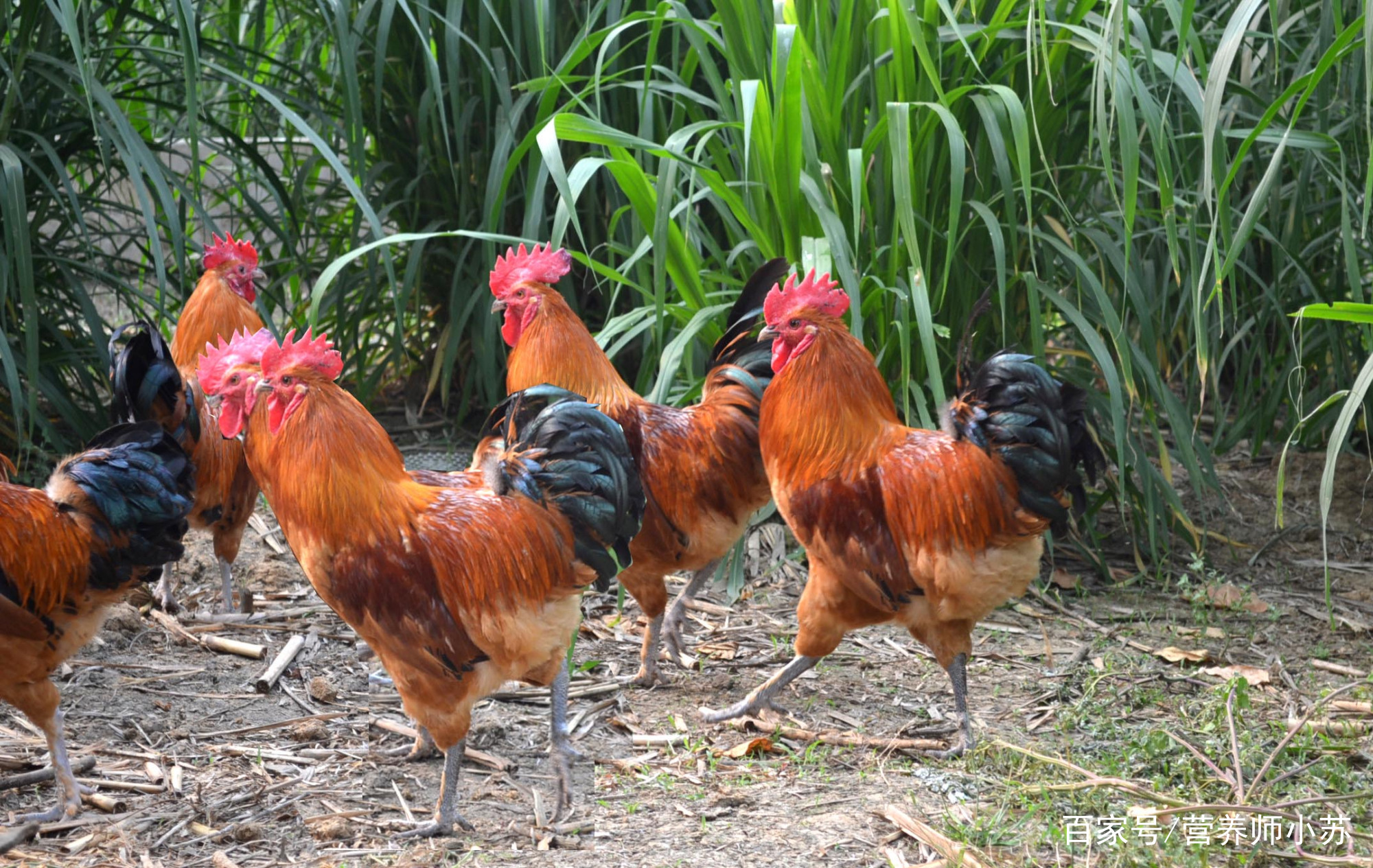 三亿体育手机版