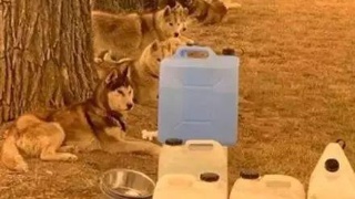 三亿体育手机版